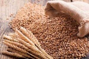 Supply to firm up as Ukraine sends 25000 tonnes of
