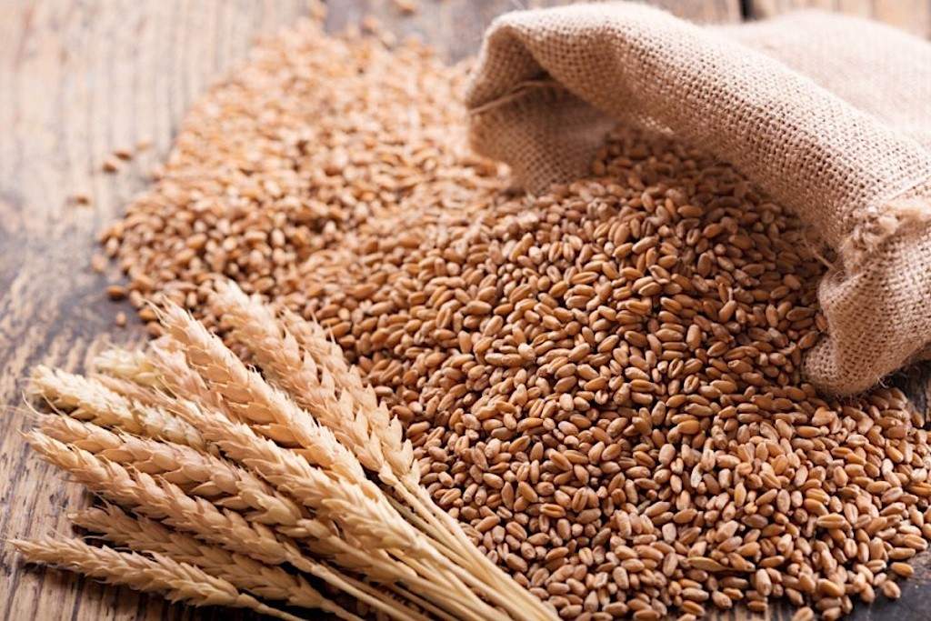 Supply to firm up as Ukraine sends 25000 tonnes of