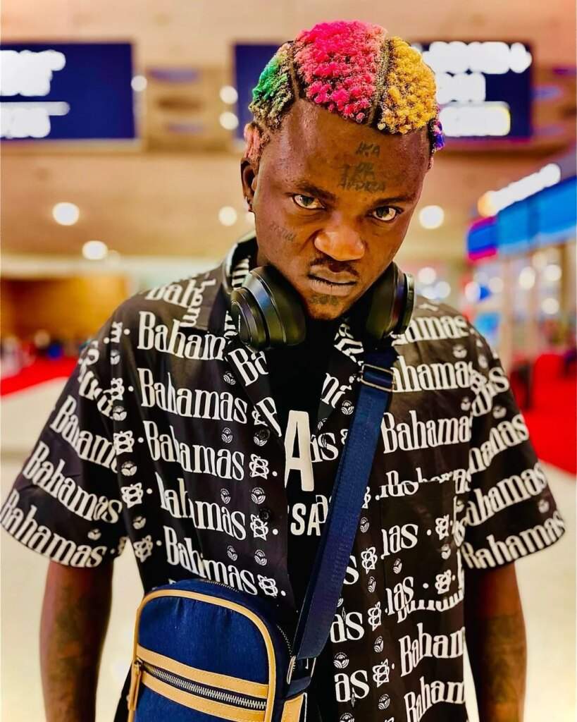 You paid me N5m I must perform – Portable replies