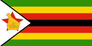 Zimbabwe Ruling party sets for majority votes without opponents –