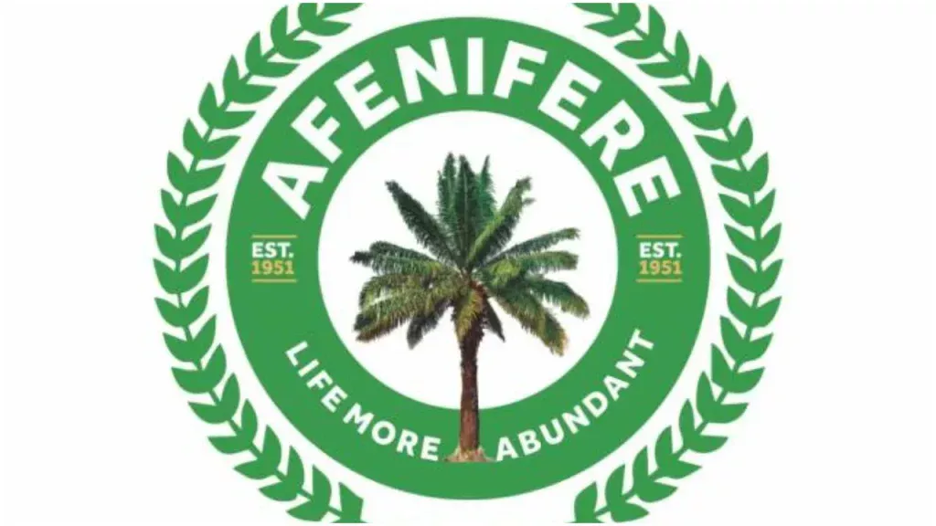 Afenifere worried over kidnappings in Lagos Ekiti bank attack