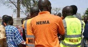 15000 Borno households to benefit from Nigerian govts special intervention