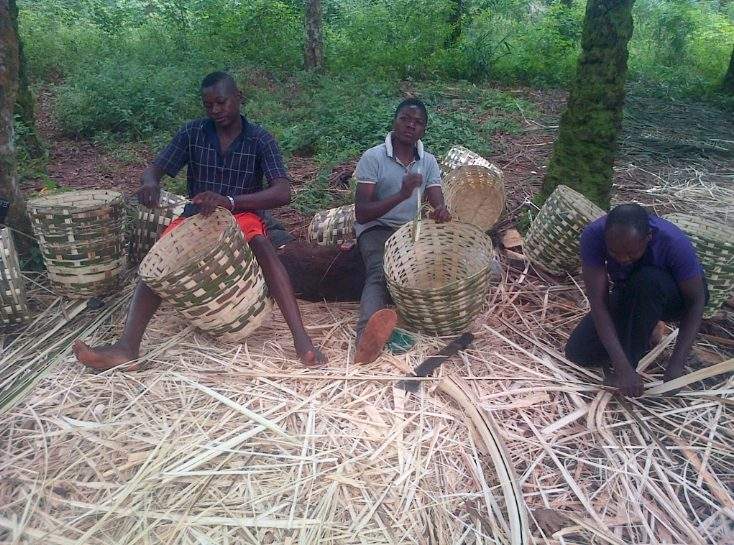 Basket weaving Students elders compete make brisk business in Enugu