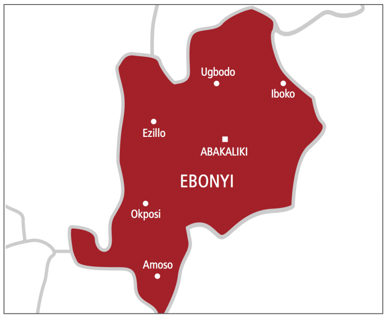 Ebonyi south senatorial bye election shouldnt be do or die LG