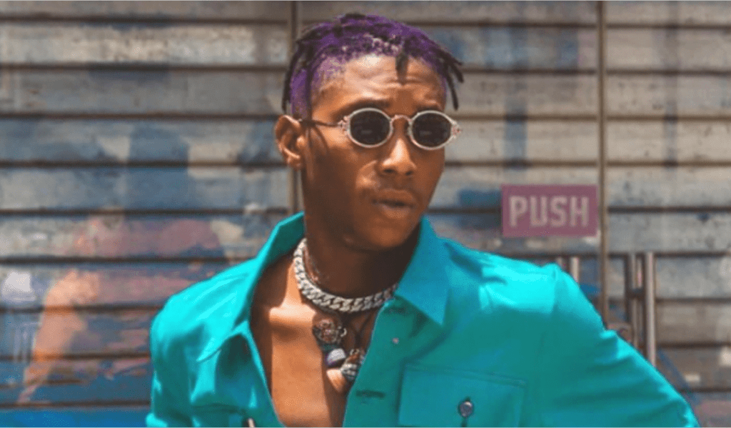 I cant put this in my house – Bella Shmurda