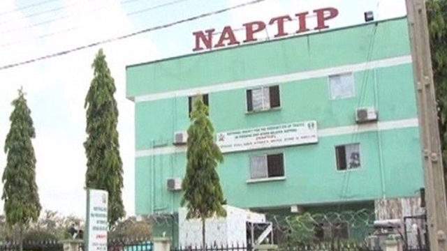 NAPTIP rescued 470 human trafficking victims in Katsina — Daily