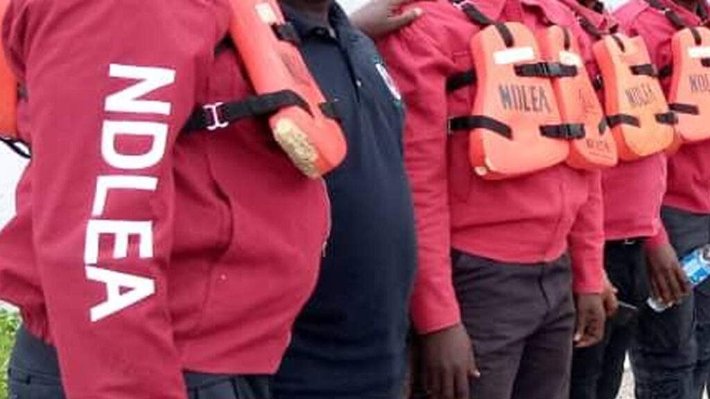 NDLEA arraigns 30 year old man for alleged drug possession — Daily
