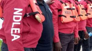 NDLEA arraigns 30 year old man for alleged drug possession — Daily