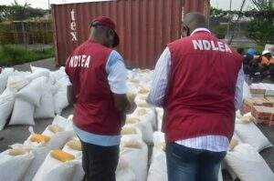 NDLEA Arrests Owner Of Drug Consignment That Caused Lagos Airport 300x199