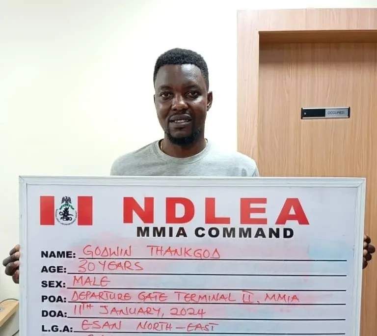 NDLEA seizes Italy bound Canadian Loud in Lagos — Daily Nigerian NDLEA seizes Italy bound Canadian Loud in Lagos — Daily Nigerian