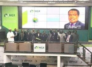 Odua Investment Moves To List On NGX — Daily Nigerian 300x219