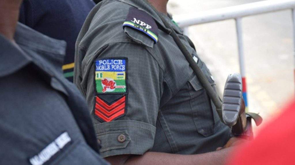 Police rescue 2 victims neutralize 3 in Adamawa — Daily