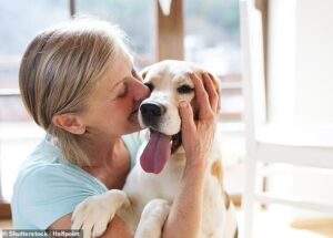furry friends