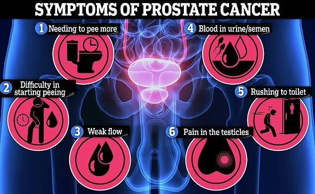 prostate