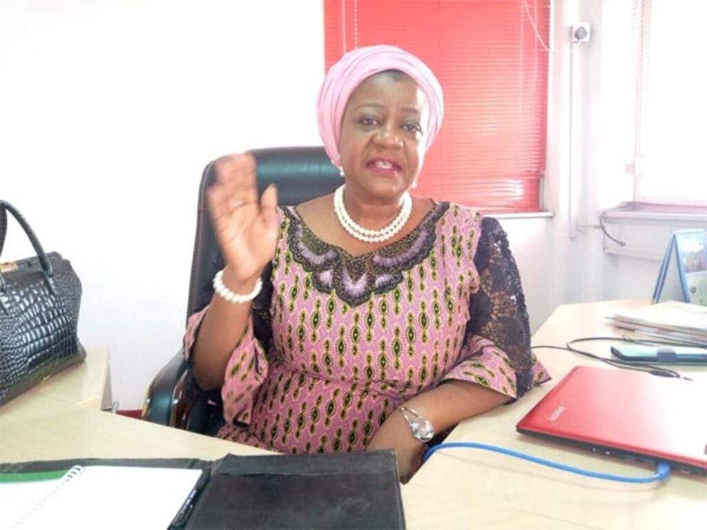 APC hijacked Buharis ex aide Onochie alleges PDP agents destroying APC hijacked Buharis ex aide Onochie alleges PDP agents destroying
