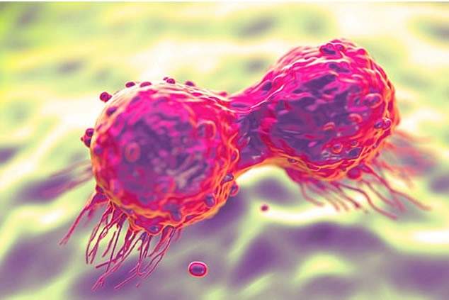 Cancer killed over 500000 Africans in 2022 — WHO