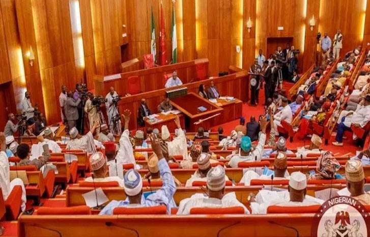 Hardship Dont hike electricity tariff Senate warns Nigerian Govt