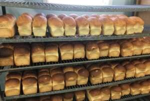 Master bakers caterers in Nigeria to begin nationwide strike Feb