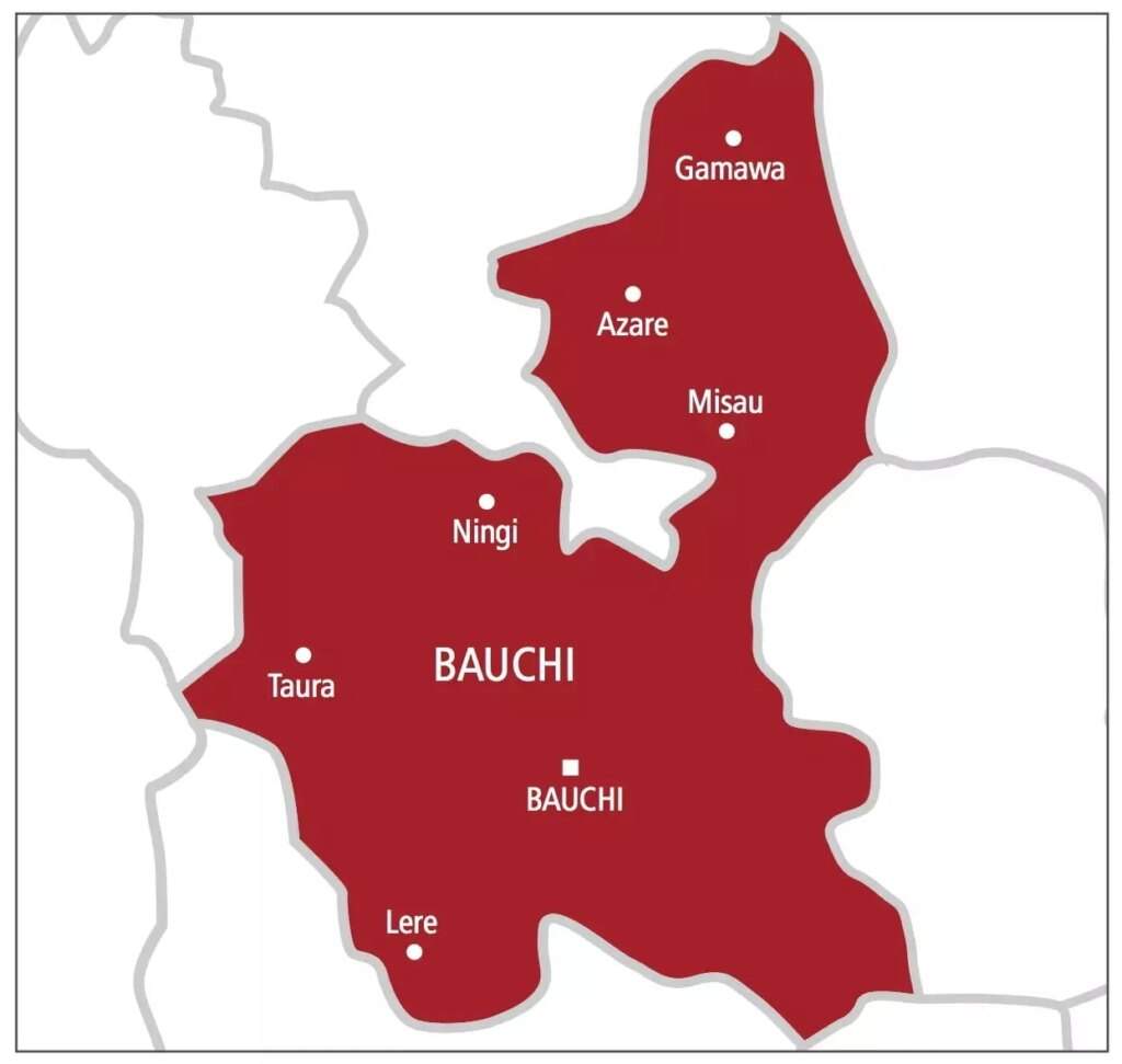 Meningitis outbreak hits Bauchi Daily Post Nigeria