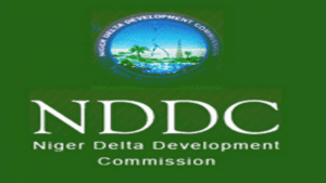 NDDC Seeks Exit From TSA Framework 300x169
