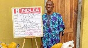 NDLEA Nabs Man 67 Others For Dealing In Illicit Drugs 300x164