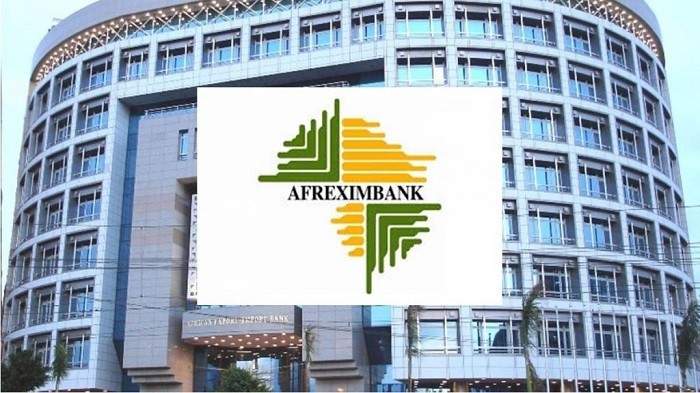 Nigeria gets 60 Afreximbank energy sector funding – Oramah —