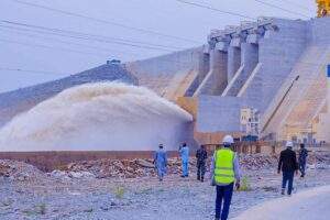 Nigerian Govt Transfers Zungeru Hydroelectric To Concessionaire — Daily Nigerian 300x200