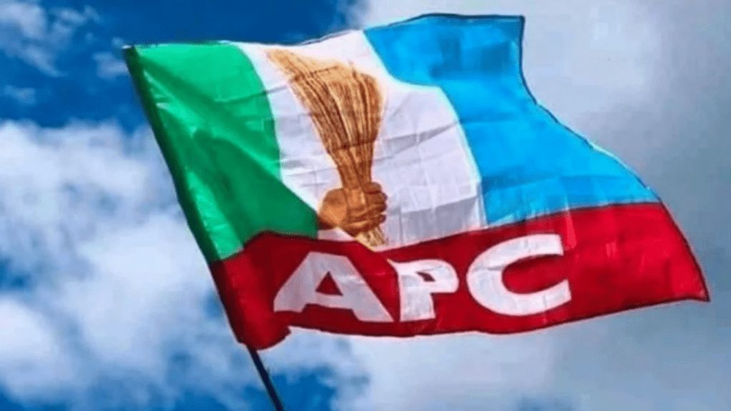 Opposition parties instigating mass protests to undermine Tinubus government