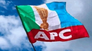 Opposition parties instigating mass protests to undermine Tinubus government