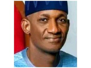 PDPs Mahmoud Kallamu Wins Mayo Belwa Constituency In Adamawa Assembly 300x225