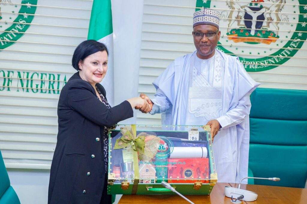 Well review Electoral Act for better conduct of 2027 elections