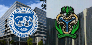 cbn imf 1