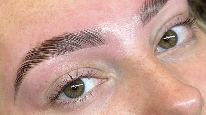 eyebrows 5 eyebrows 5