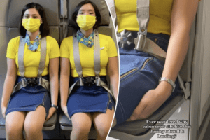 flight attendant