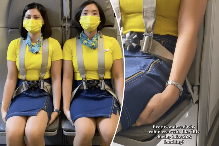 flight attendant
