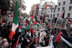 free palestine