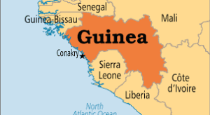 guinea 2
