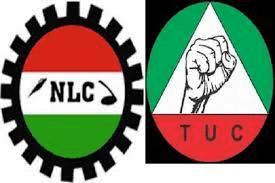 nlc 1