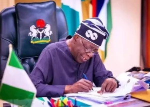 Tinubu Signs Electricity Act 2024 300x213