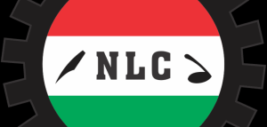 Nlc3 1 300x143
