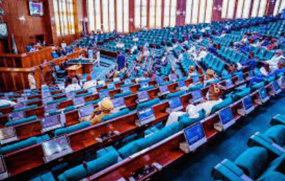 Chief of Air Staff Urges National Assembly to Address Rising