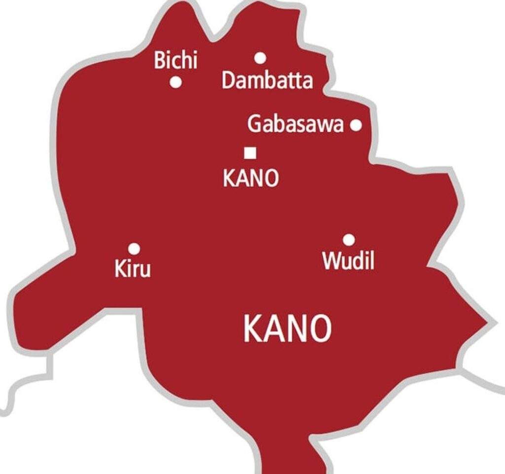 Diphtheria Outbreak Claims Lives of Four Children in Kano State