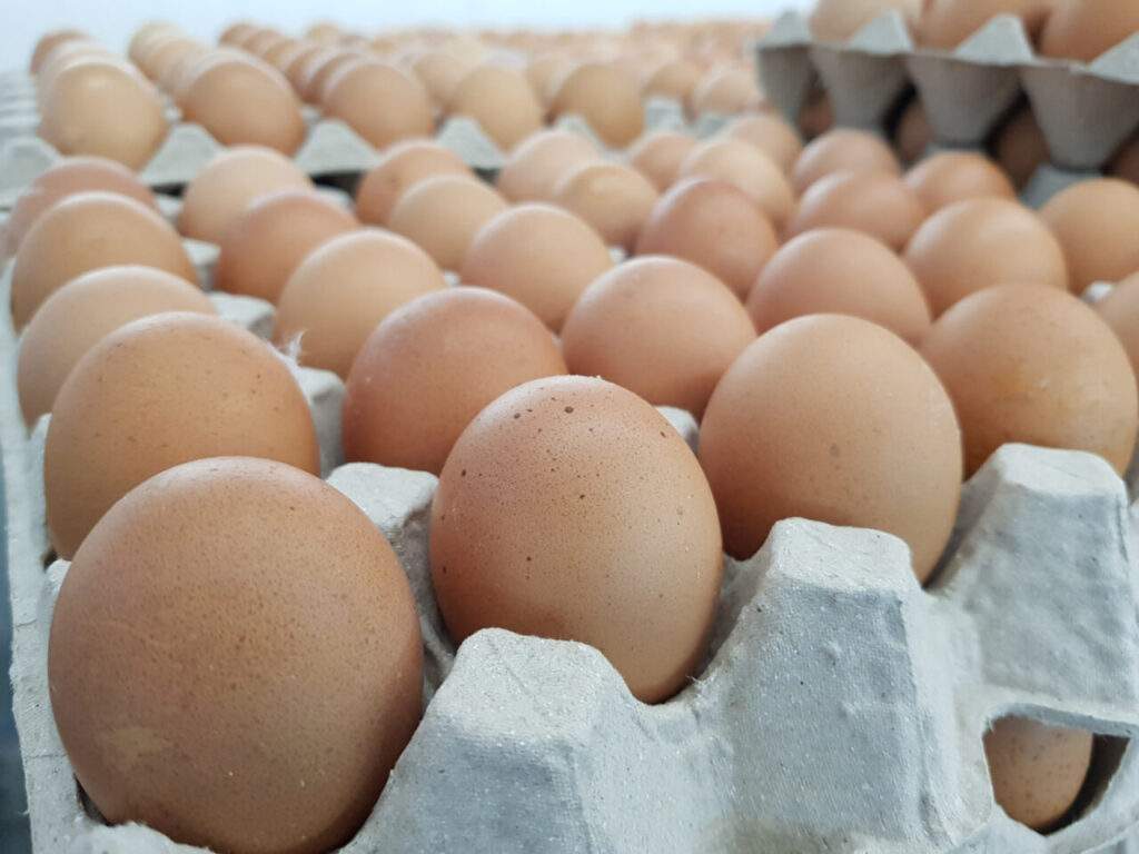 Egg Prices Soar in Nigeria Impact on Consumers and Health