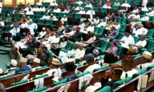 House of Representatives Urges TCN to Restore Power in Yenagoa