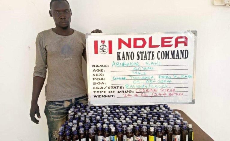 NDLEA Intercepts Illicit Drug Consignment in Commercial Bus Arrests Grandfathers