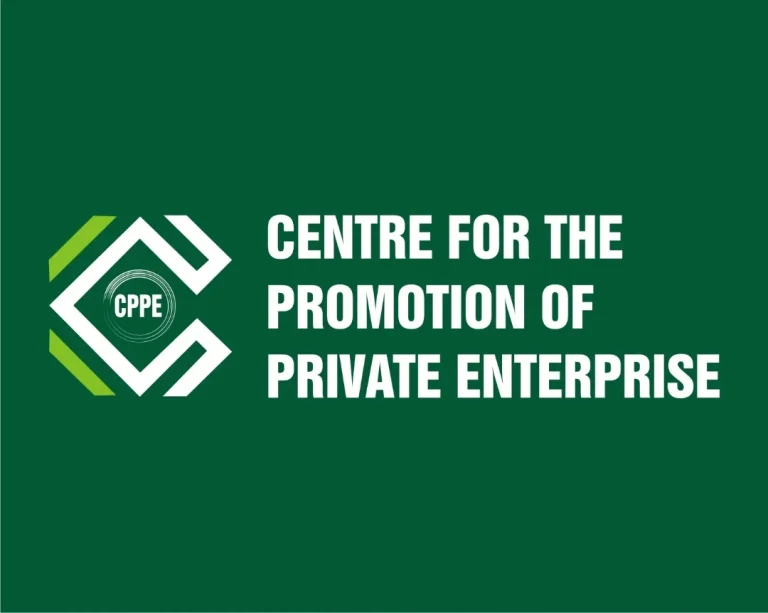 Nigeria States at Risk of Insolvency CPPE Urges Investment Boost