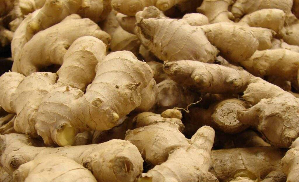 Nigerian Government Launches N12 Billion Recovery Plan for Ginger Farmers