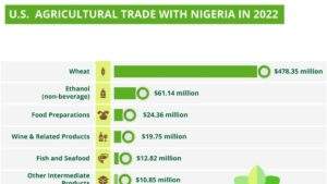 Nigerias Agricultural Export Challenges Regulatory Compliance Economic Implications 300x169