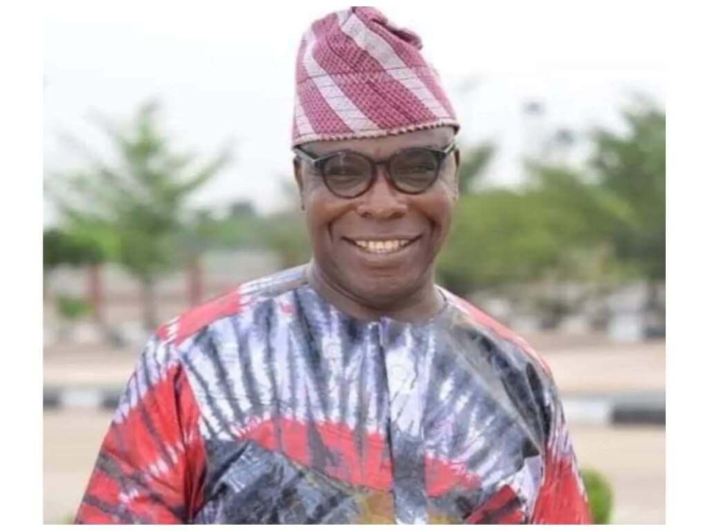 Peoples Democratic Partys Loss in 2023 Elections Director Blames High Handedness