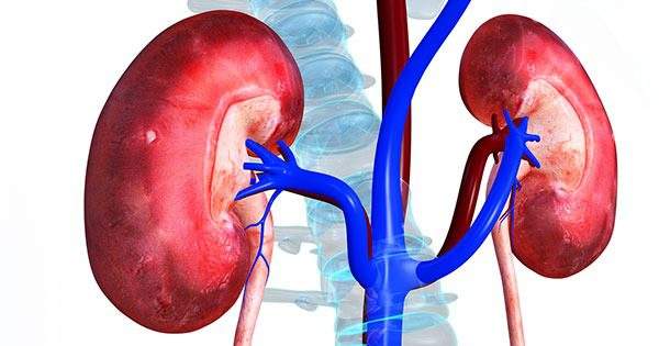 Preventing Kidney Failure Experts Call for Regulation on Sugary Drinks